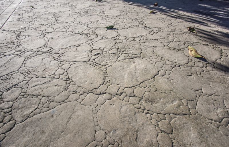 Decorative Concrete Repair in Gig Harbor, WA